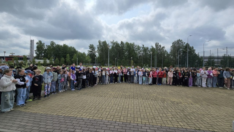 Дневник работы пришкольного лагеря.
